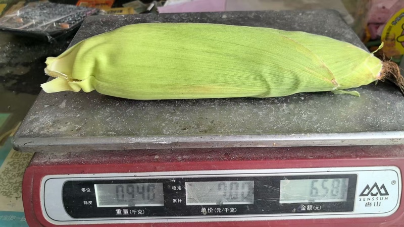 932彩糯玉米