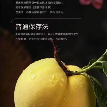 湖南株洲炎陵高海拔山区的锦绣黄桃