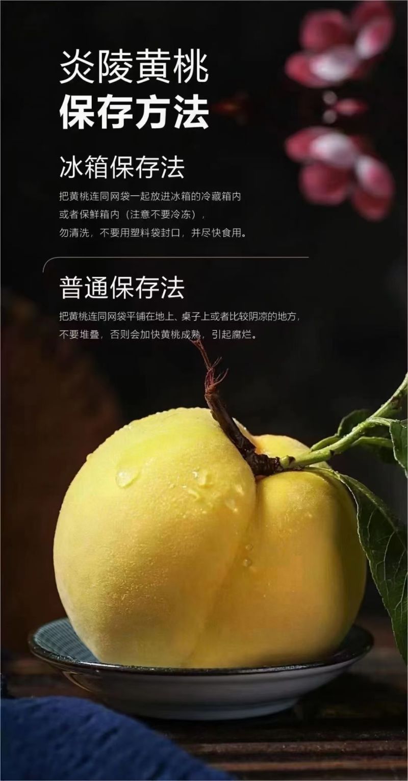 湖南株洲炎陵高海拔山区的锦绣黄桃