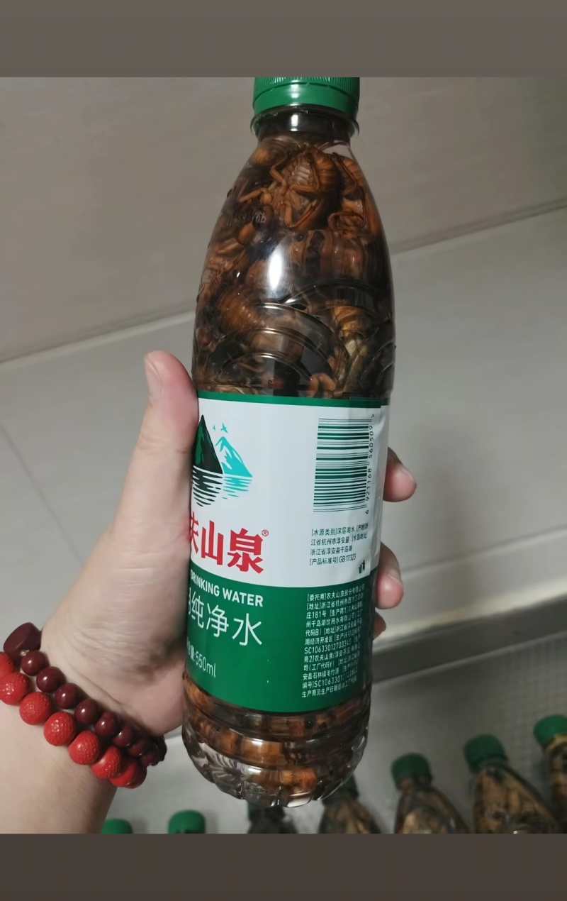 蝉蛹