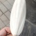乌贼骨