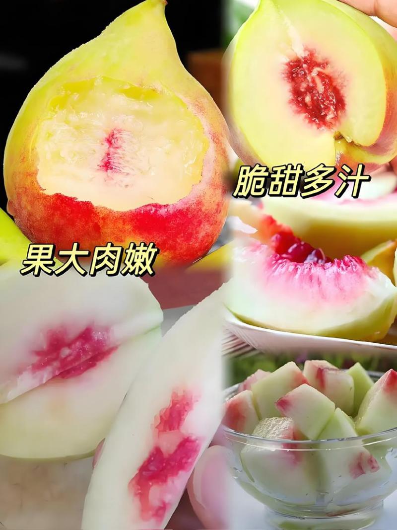 云南本地现货鹰嘴蜜桃：需要可电话联系：***********