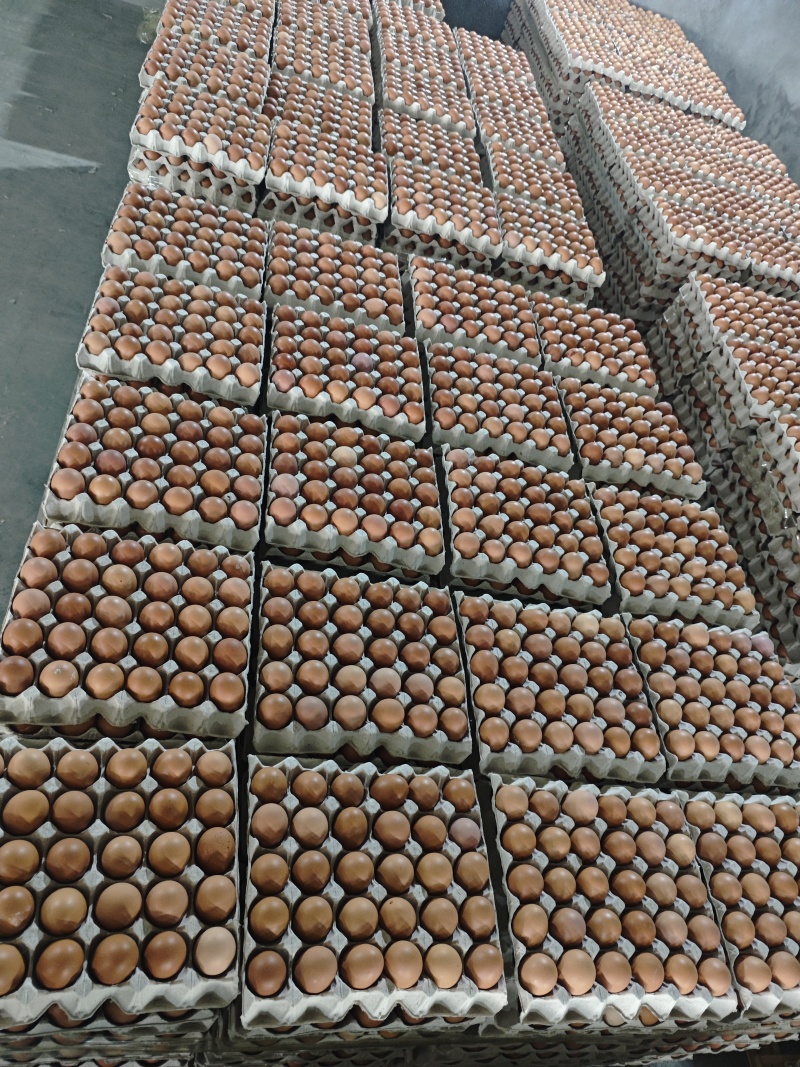 大厂小码红壳鸡蛋，32-40码，品质优，另有中码，大码鲜鸡蛋