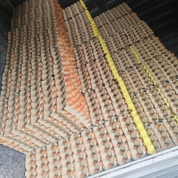 大厂小码红壳鸡蛋，32-40码，品质优，另有中码，大码鲜鸡蛋