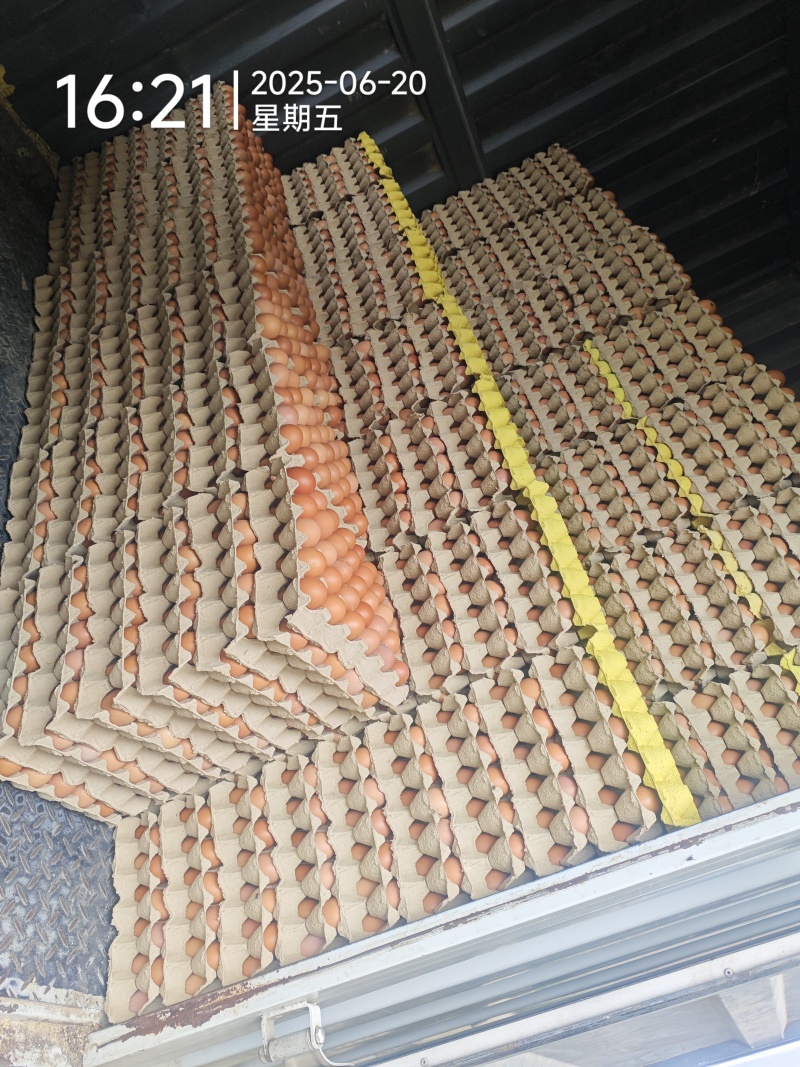 大厂小码红壳鸡蛋，32-40码，品质优，另有中码，大码鲜鸡蛋