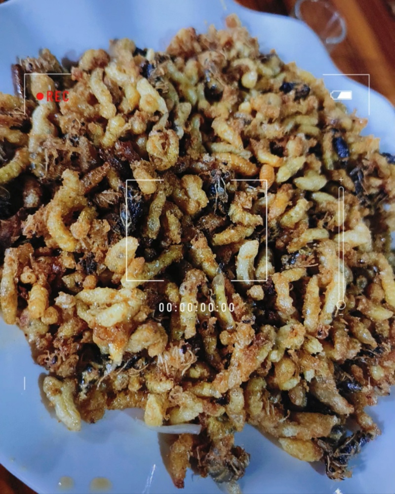 蜂蛹，新鲜靓货