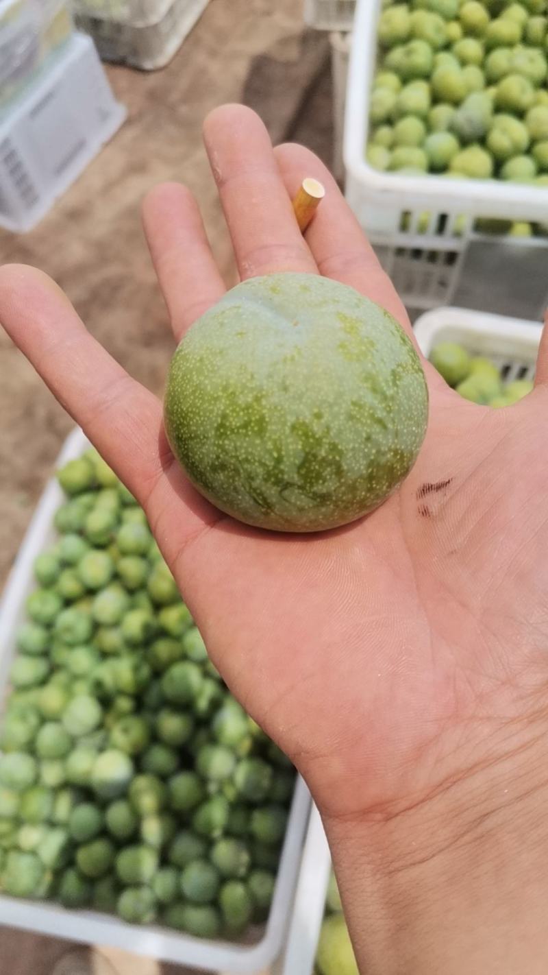 脆李