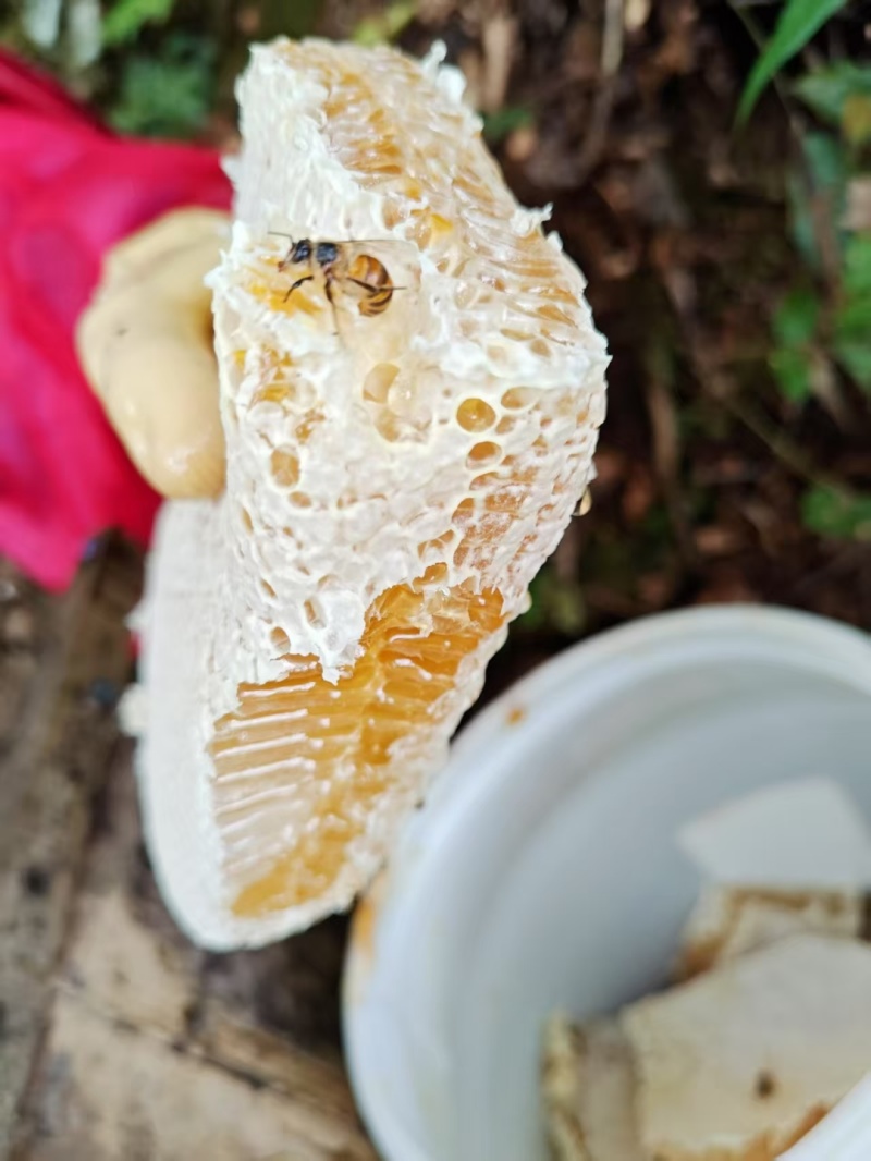 蜂蜜