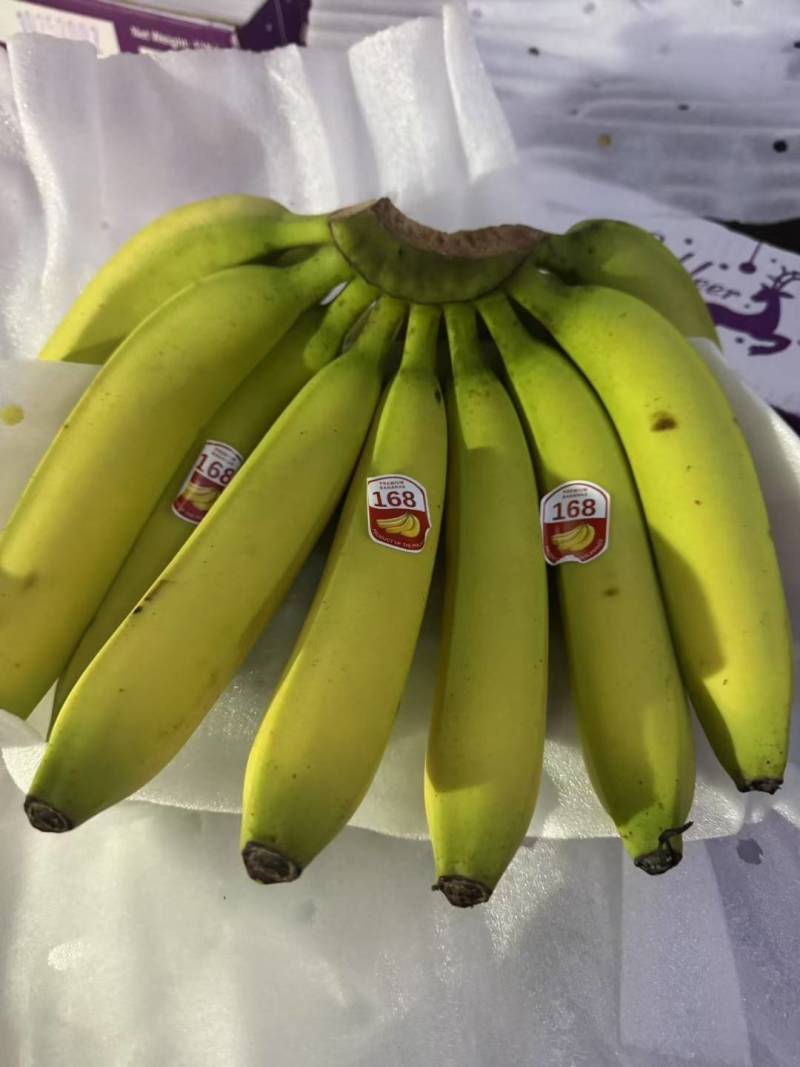 越南精品大金条