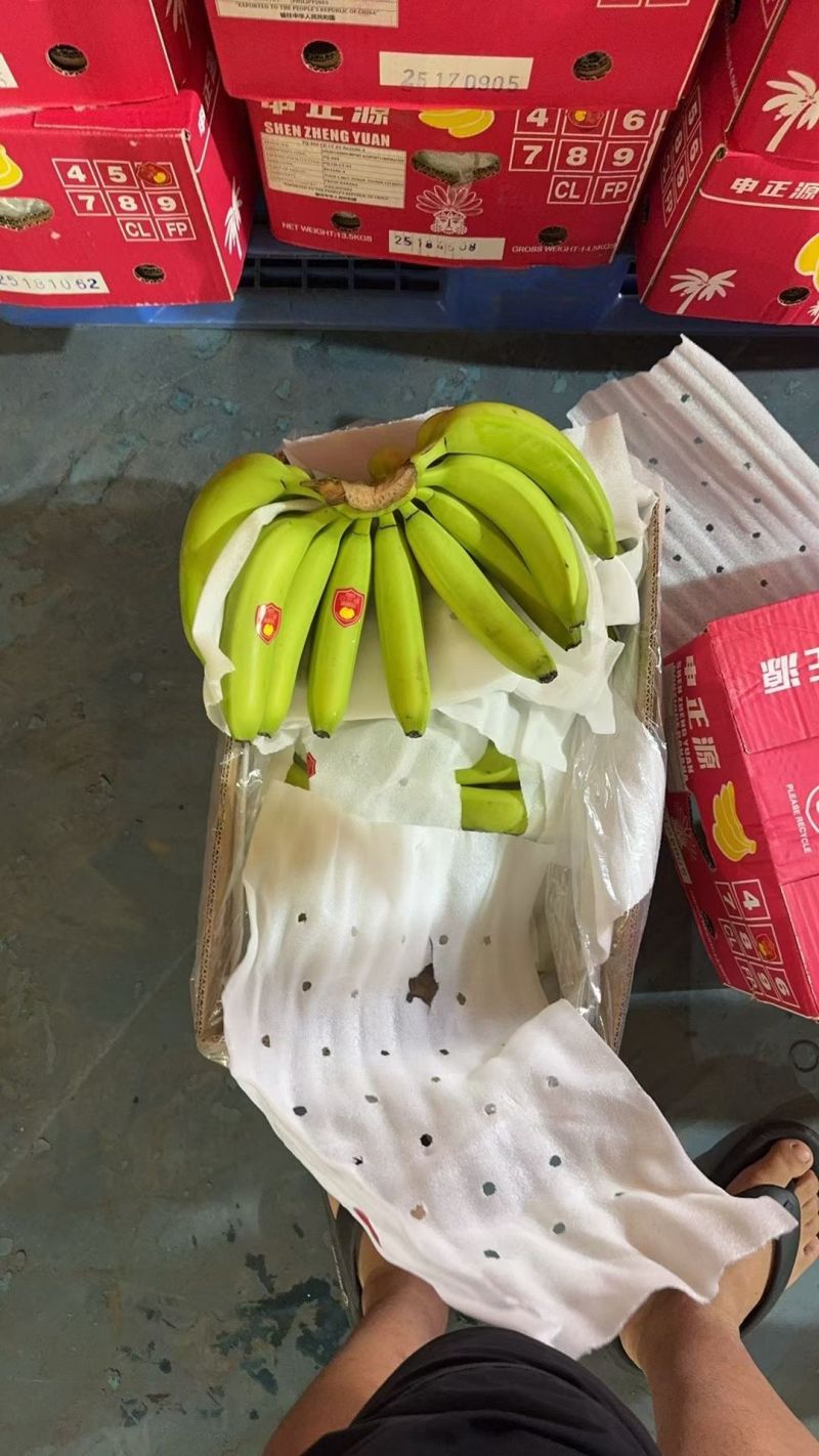 越南精品大金条