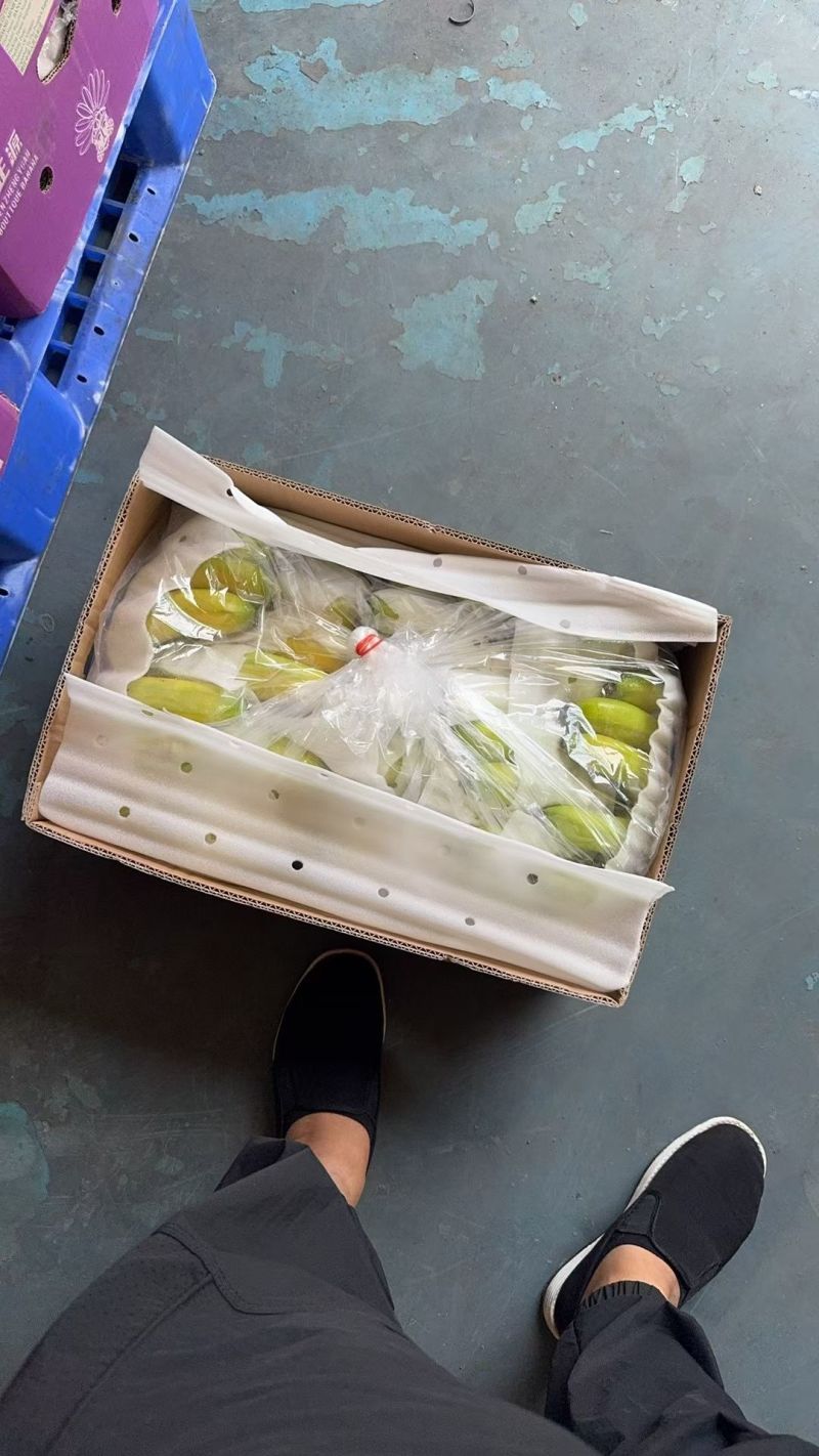 越南精品大金条