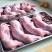 现杀兔肉，真空包装