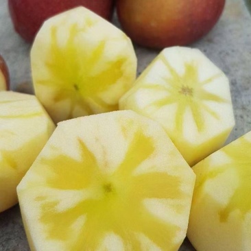 阿坝州小金县，红富士，青苹果🍏