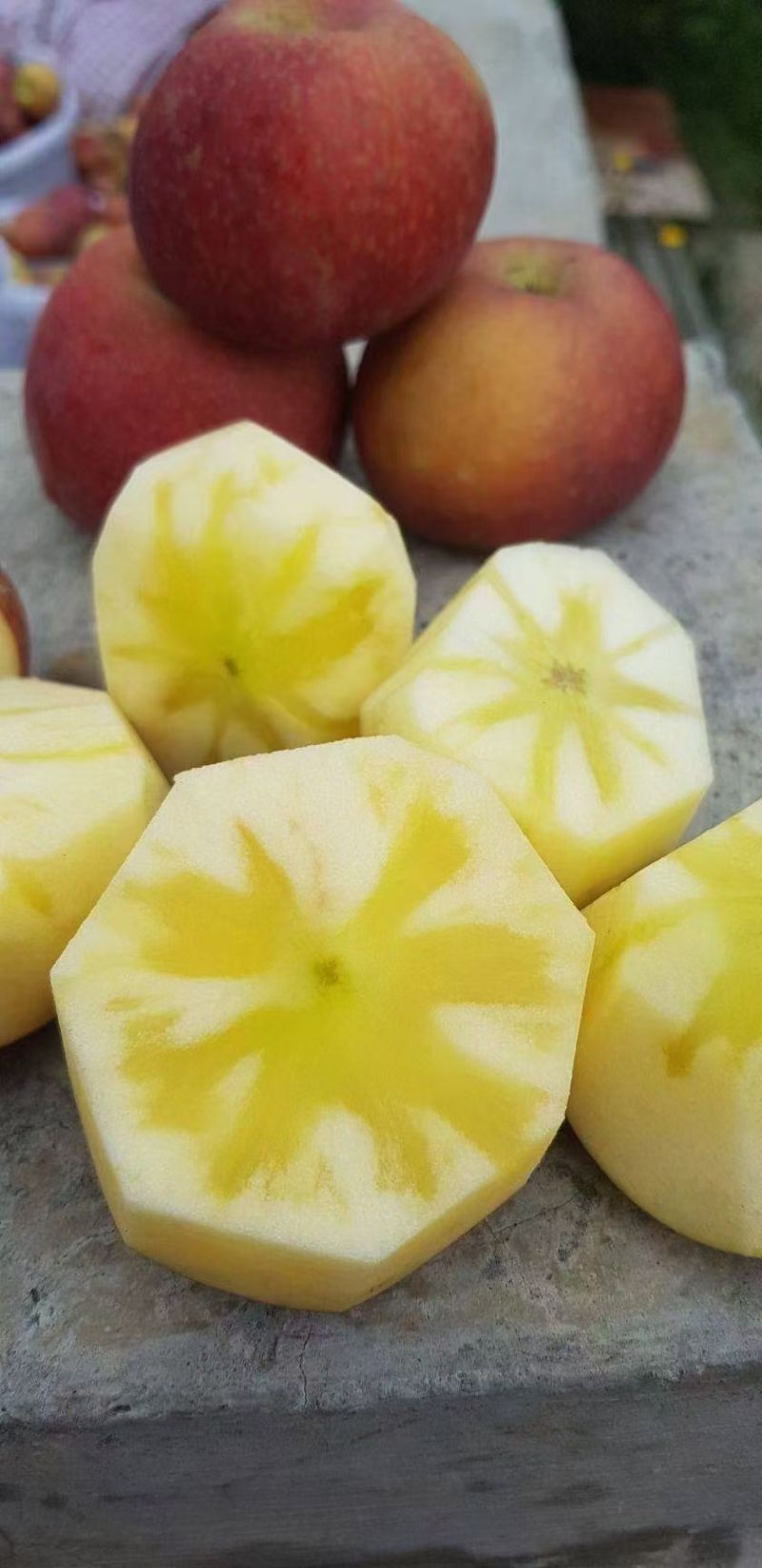 阿坝州小金县，红富士，青苹果🍏