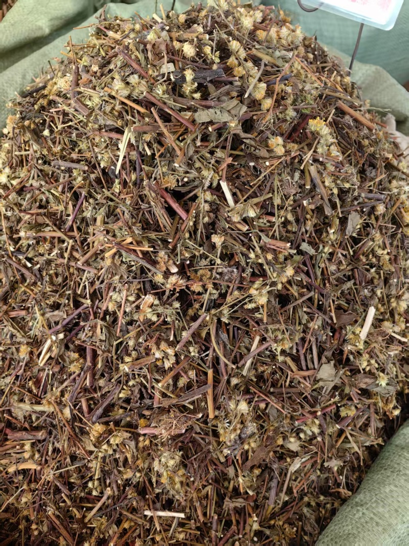 一枝黄花