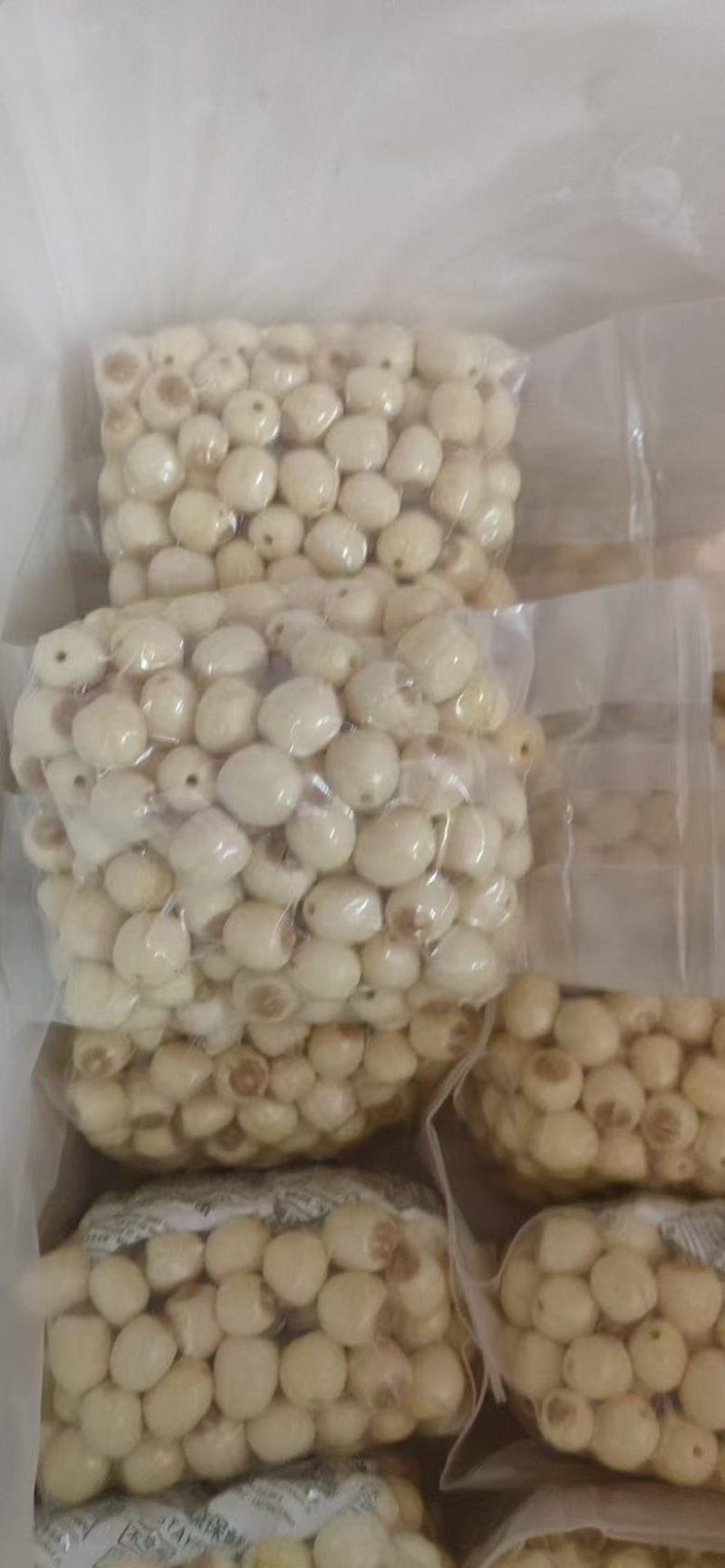 手工鲜莲