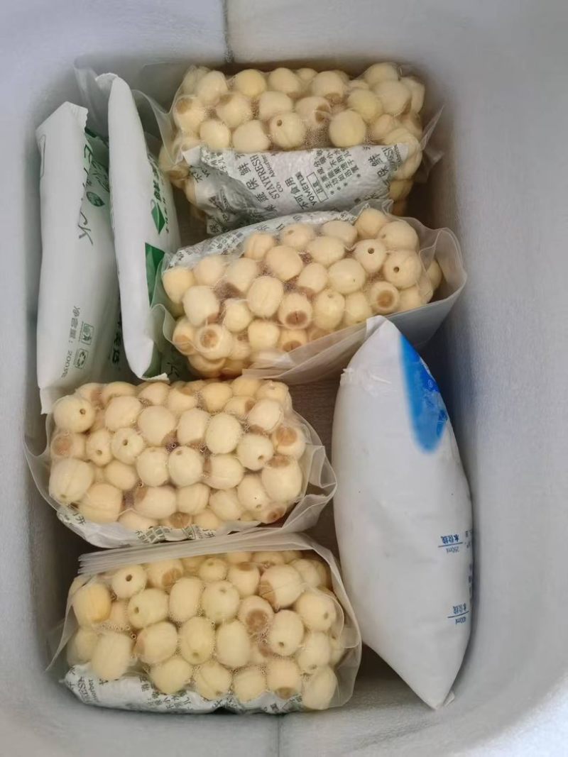 手工鲜莲