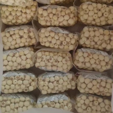 手工鲜莲