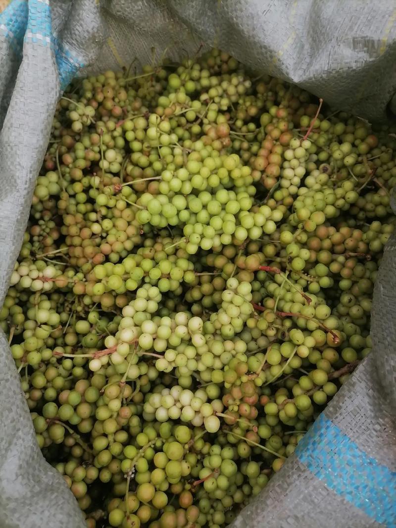 五味子青果