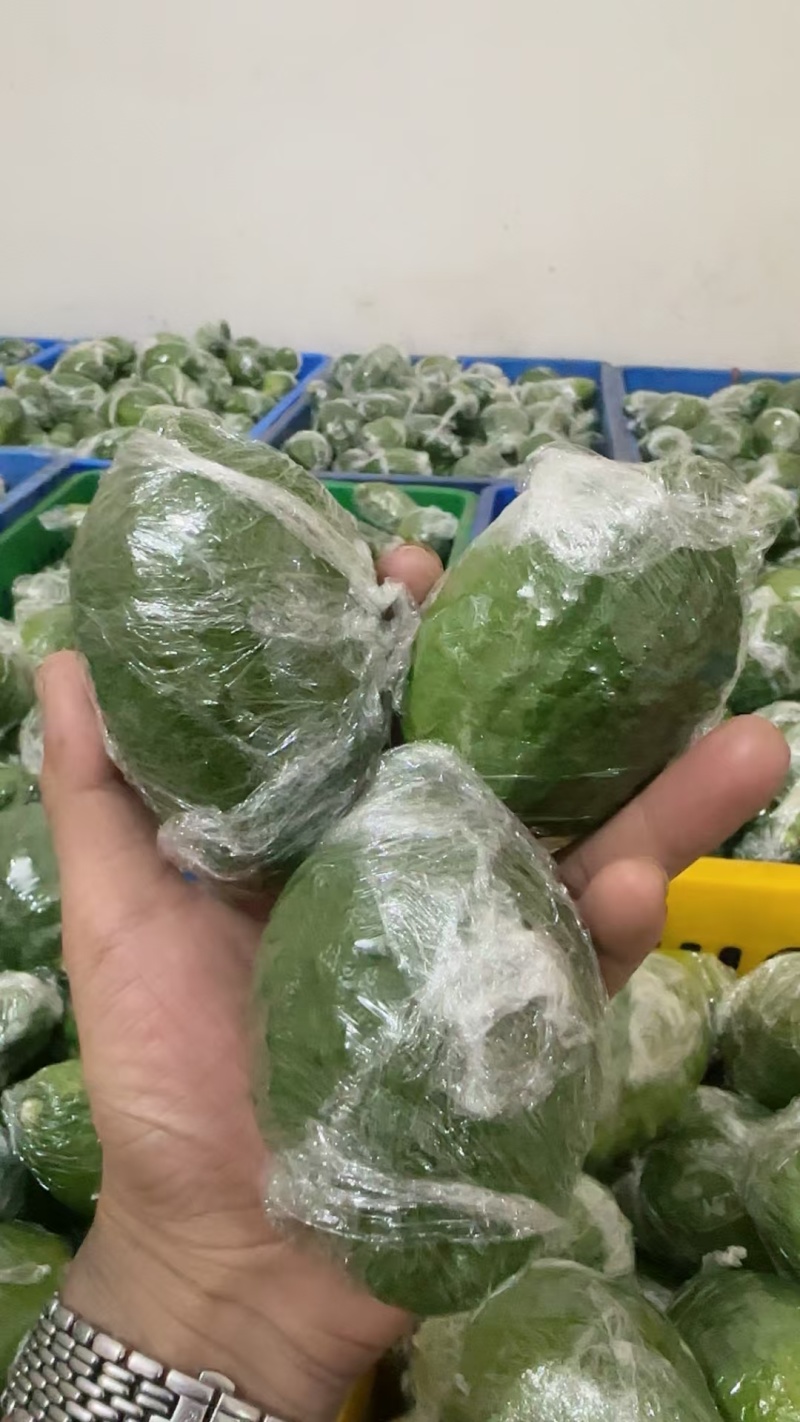 柠檬一级二级