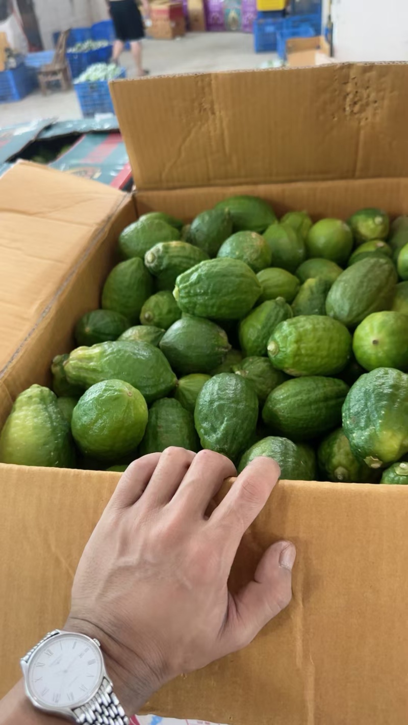 柠檬一级二级