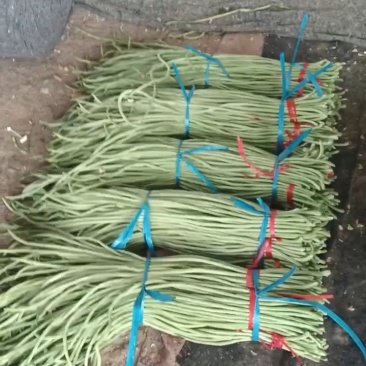 豆角大量现货，价格1元左右，