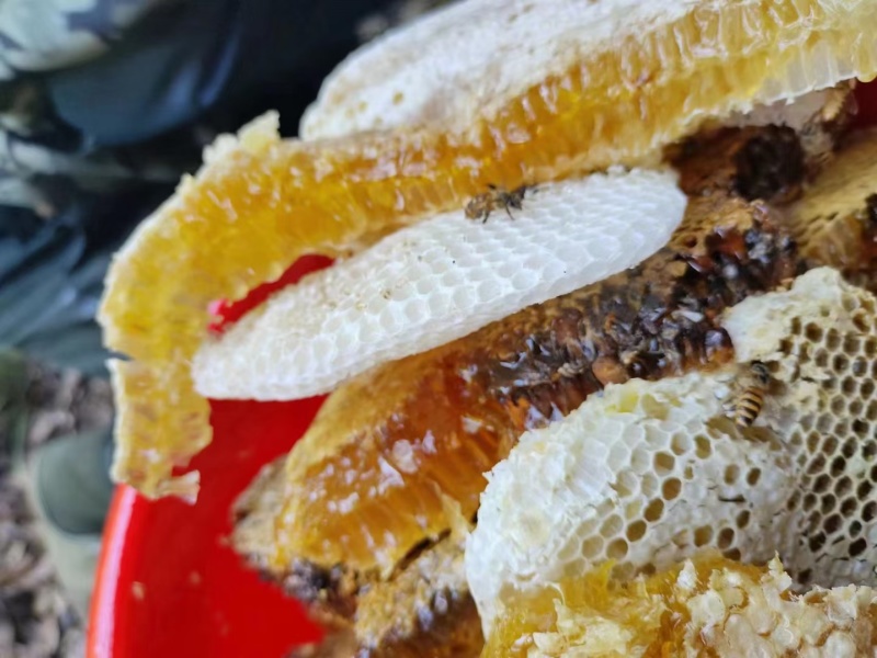 深山野生蜂蜜🍯，采百花蜜******。