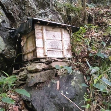 深山野生蜂蜜🍯，采百花蜜******。
