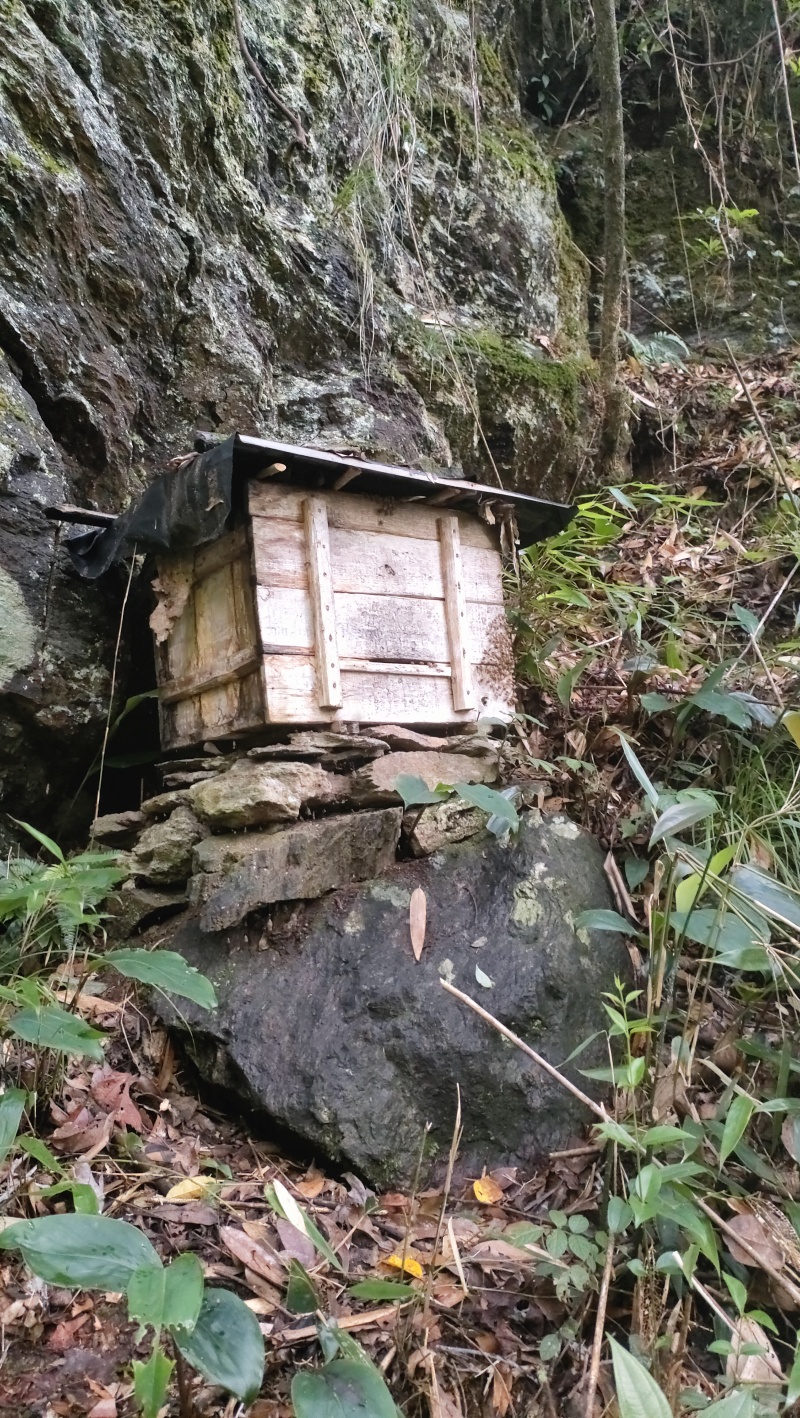 深山野生蜂蜜🍯，采百花蜜******。