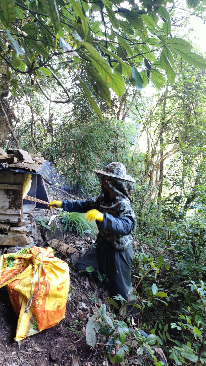 深山野生蜂蜜🍯，采百花蜜******。