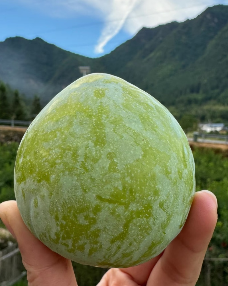 林地种植甜奈李