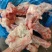 龙大带肉后腿骨