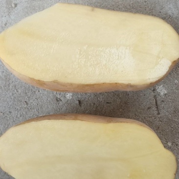 土豆，
