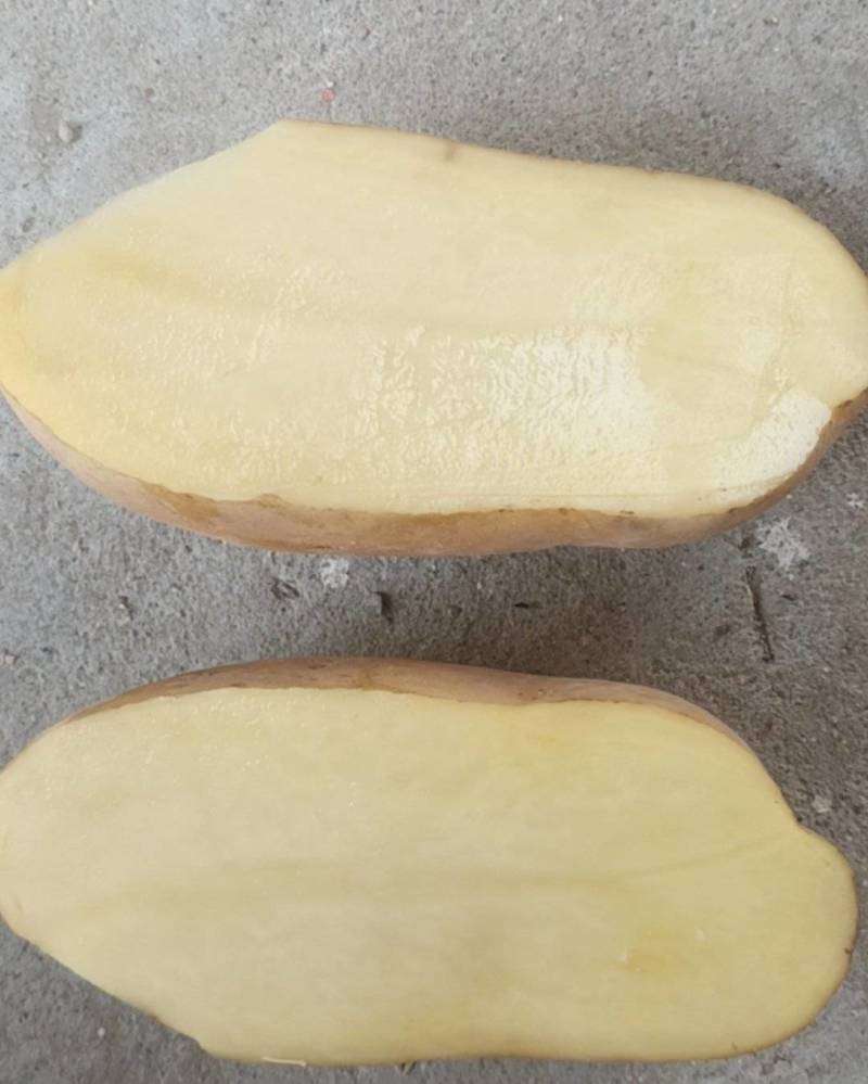 土豆，