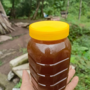 土蜂蜜