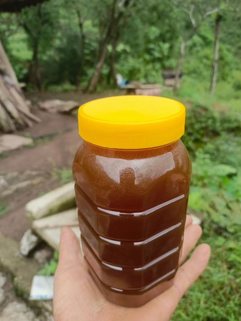 土蜂蜜
