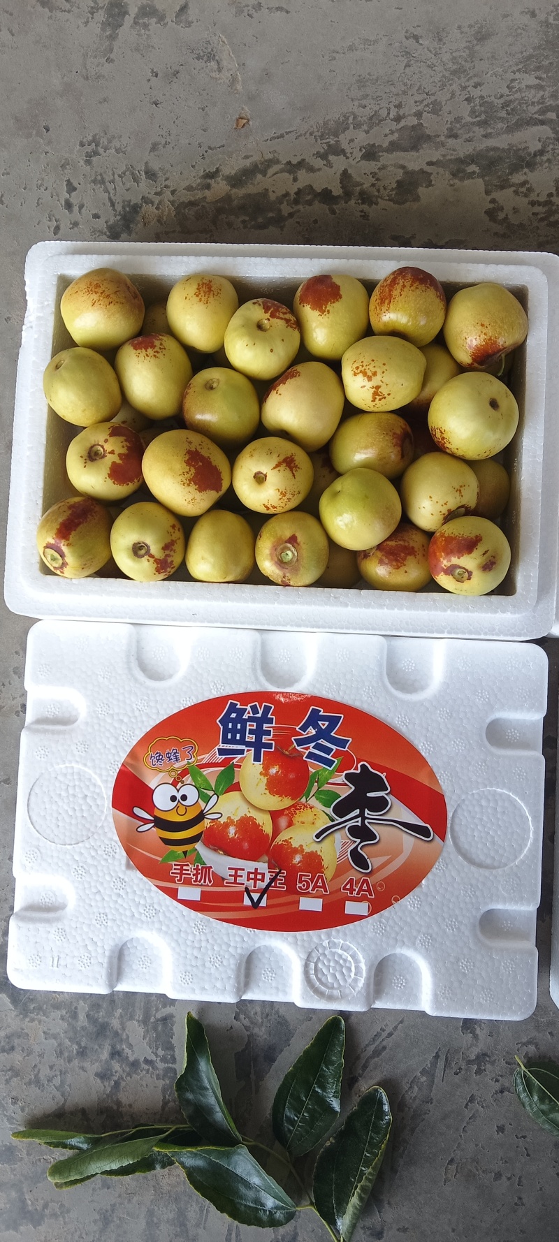 冬枣