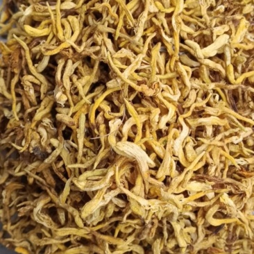甘肃天水野生药材金银花