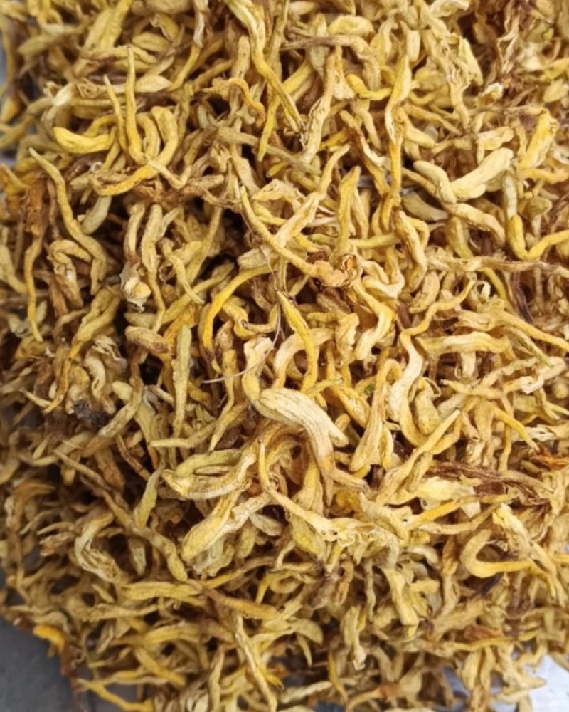 甘肃天水野生药材金银花