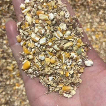 8个粮碎玉米下脚料