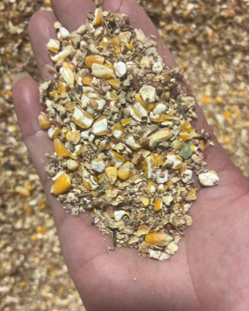8个粮碎玉米下脚料