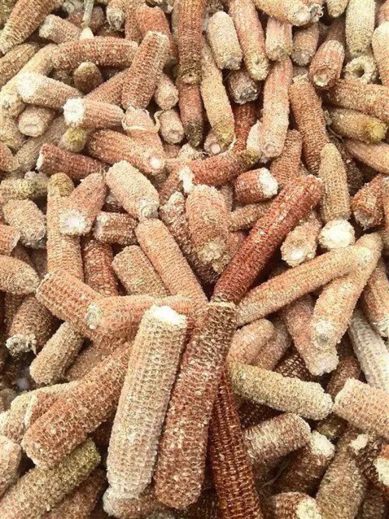 玉米芯