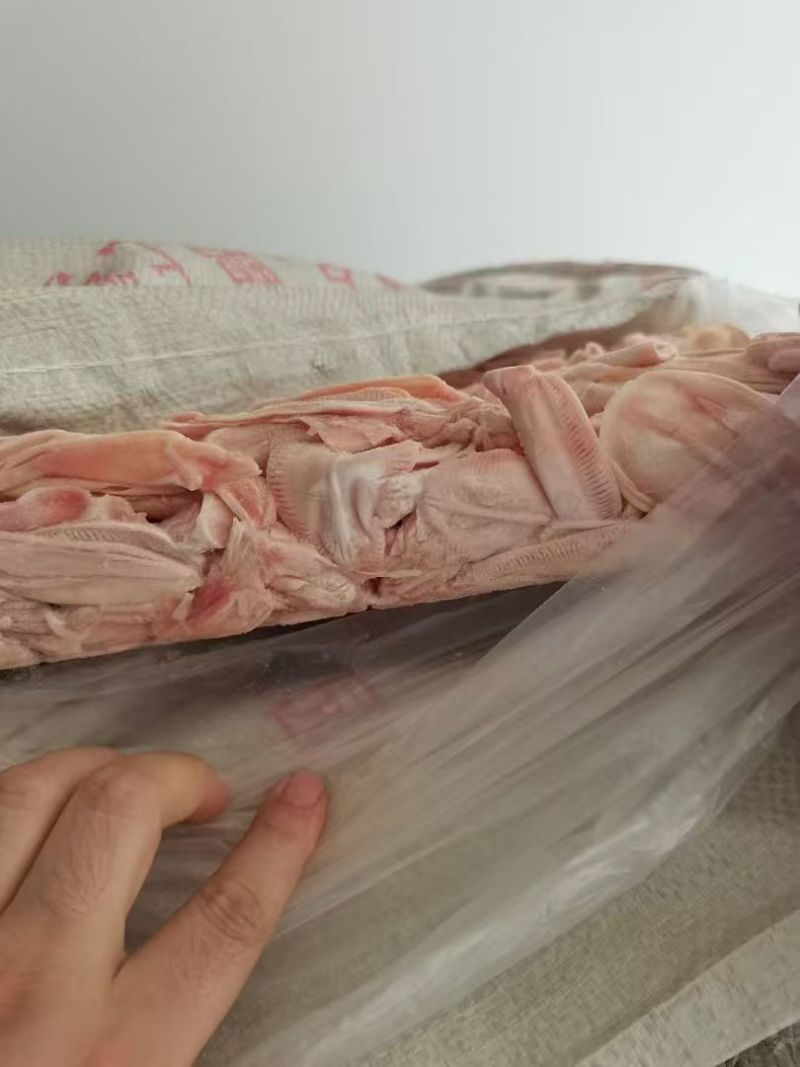 大板鸭唇皮1.5吨10公斤一件