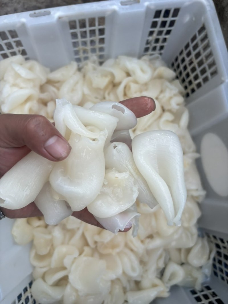 水发鸡蛋胶