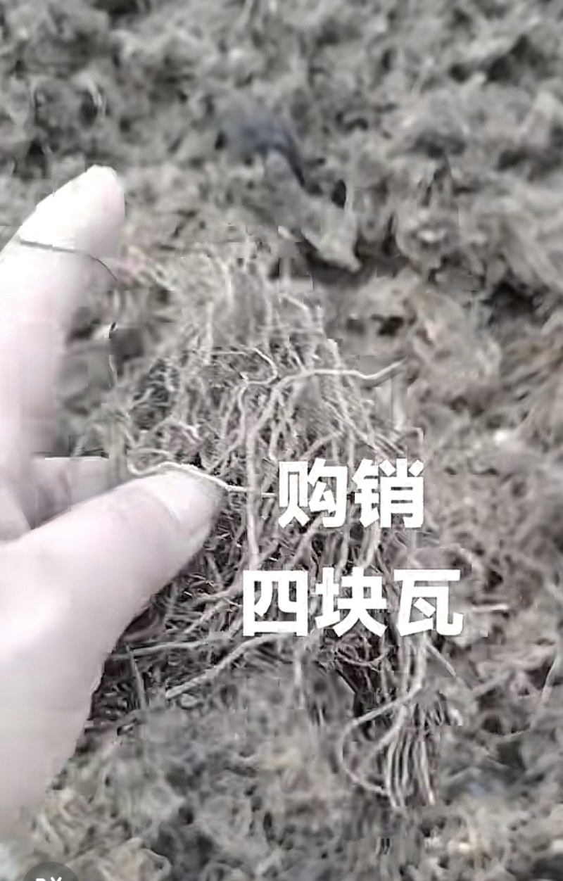 四块瓦