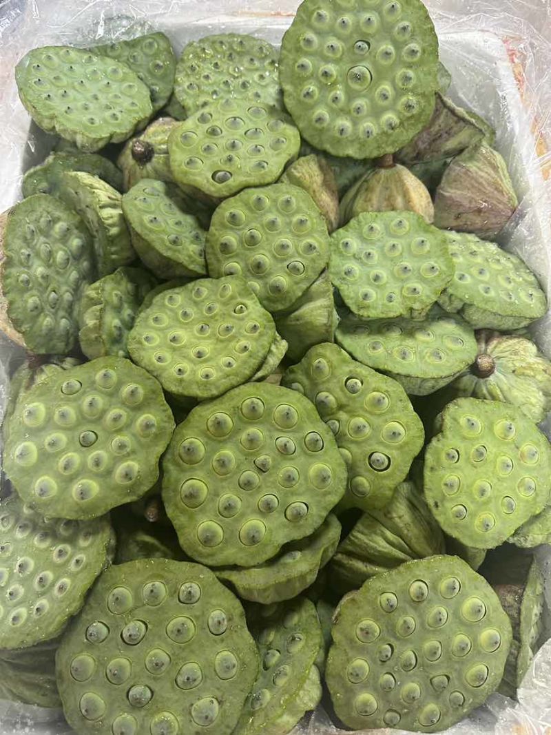 基地直发莲蓬