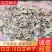 2025年，基地新产白芷种子，自产自销二年生白芷种子，包发芽