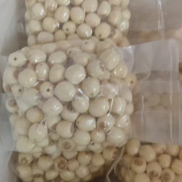通心鲜莲