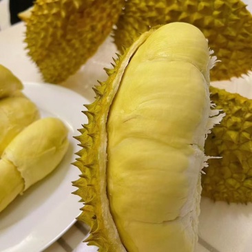 泰国金枕