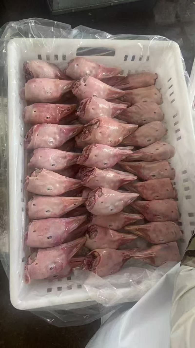 带舌鹅头新货8吨